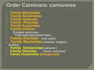  Family Mephitidae
 Family Nandiniidae
 Family Hyaenida
 Family Phocidae
 Family Eupleridae
 Family Ursidae
 [Largest carnivores,
 Polar bear,Spectacled bear,]
 Family Ailuridae (true seals)
 Family Mustelidae (weasels, badgers,
& allies)
 Family Odobenidae[ walruses ]
 Family Otariidae [Seals, sea lions]
 Family Herpestidae [mongooses]
 