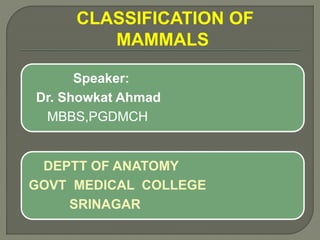 CLASSIFICATION OF
MAMMALS
Speaker:
Dr. Showkat Ahmad
MBBS,PGDMCH
DEPTT OF ANATOMY
GOVT MEDICAL COLLEGE
SRINAGAR
 