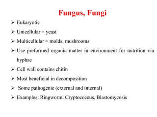 Classification microorganism | PPT