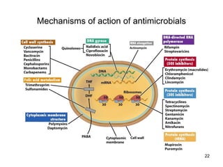 Classification & MOA of Antimicrobials.pdf
