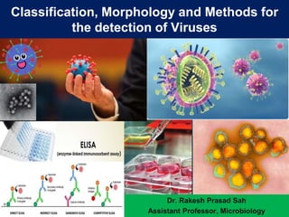 Classification, Morphology and Methods for
the detection of Viruses
Dr. Rakesh Prasad Sah
Assistant Professor, Microbiology
 