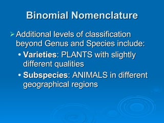 Binomial Nomenclature Additional levels of classification beyond Genus and Species include: Varieties : PLANTS with slightly different qualities Subspecies : ANIMALS in different geographical regions 