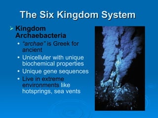 The Six Kingdom System  Kingdom Archaebacteria   “ archae”  is Greek for ancient Unicelluler with unique biochemical properties Unique gene sequences Live in extreme environments  like hotsprings, sea vents 