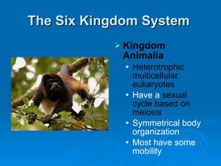 The Six Kingdom System  Kingdom Animalia Heterotrophic multicellular eukaryotes Have a  sexual cycle based on meiosis Symmetrical body organization Most have some mobility 