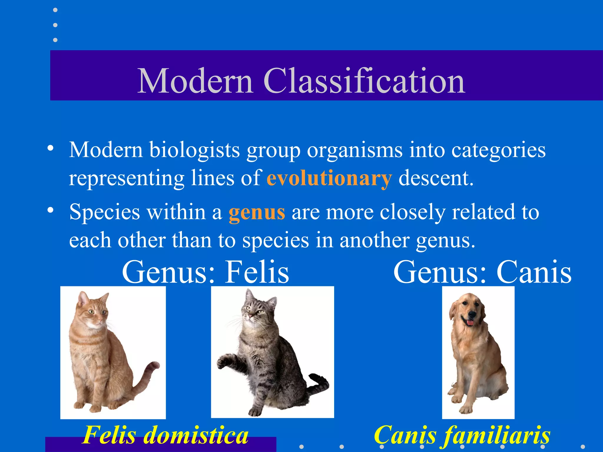 Modern Classification
• Modern biologists group organisms into categories
representing lines of evolutionary descent.
• Species within a genus are more closely related to
each other than to species in another genus.
Genus: Felis Genus: Canis
Felis domistica Canis familiaris
 