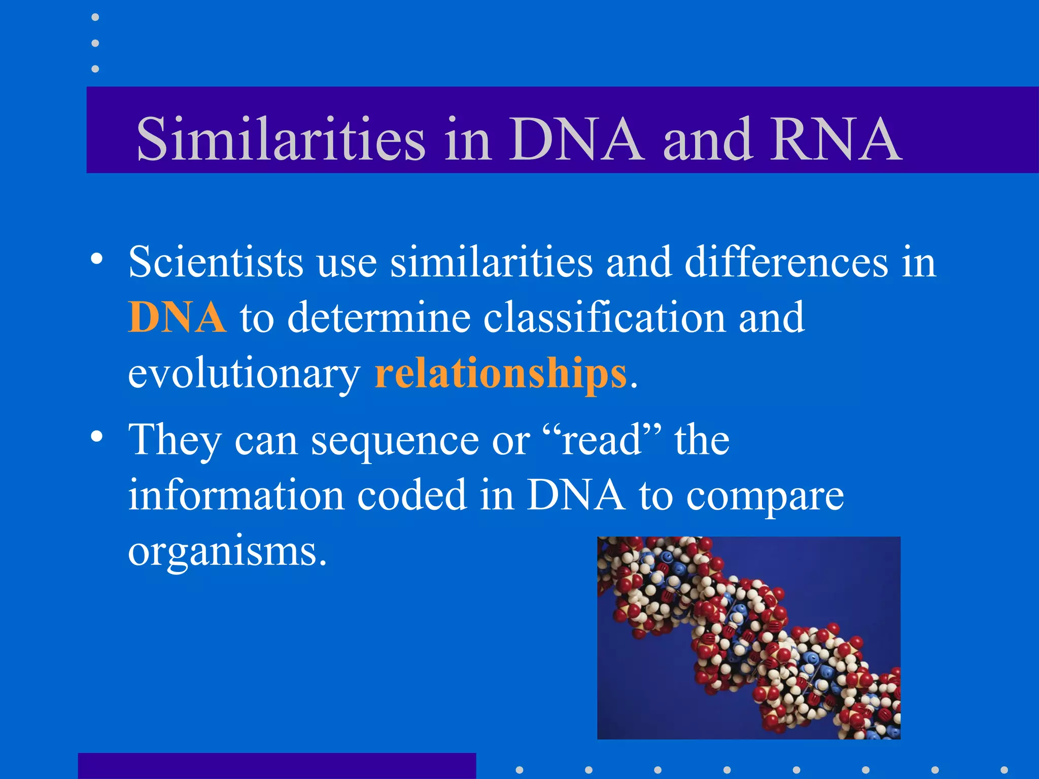 Similarities in DNA and RNA
• Scientists use similarities and differences in
DNA to determine classification and
evolutionary relationships.
• They can sequence or “read” the
information coded in DNA to compare
organisms.
 