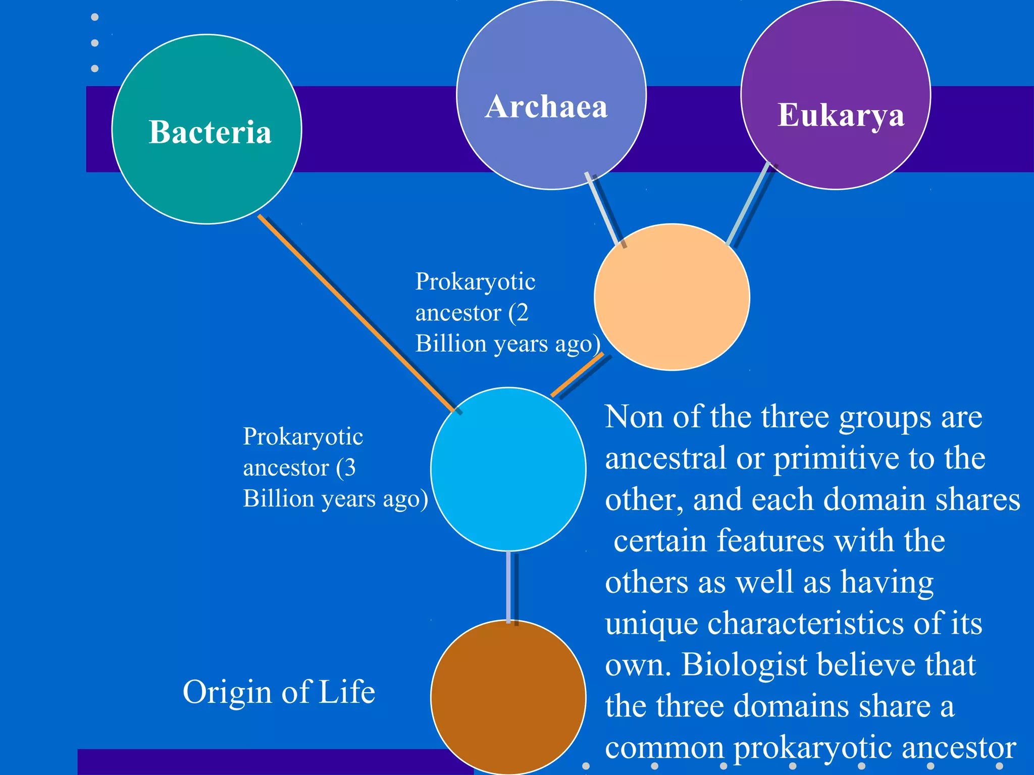Bacteria
Archaea Eukarya
Prokaryotic
ancestor (2
Billion years ago)
Prokaryotic
ancestor (3
Billion years ago)
Origin of Life
Non of the three groups are
ancestral or primitive to the
other, and each domain shares
certain features with the
others as well as having
unique characteristics of its
own. Biologist believe that
the three domains share a
common prokaryotic ancestor
 