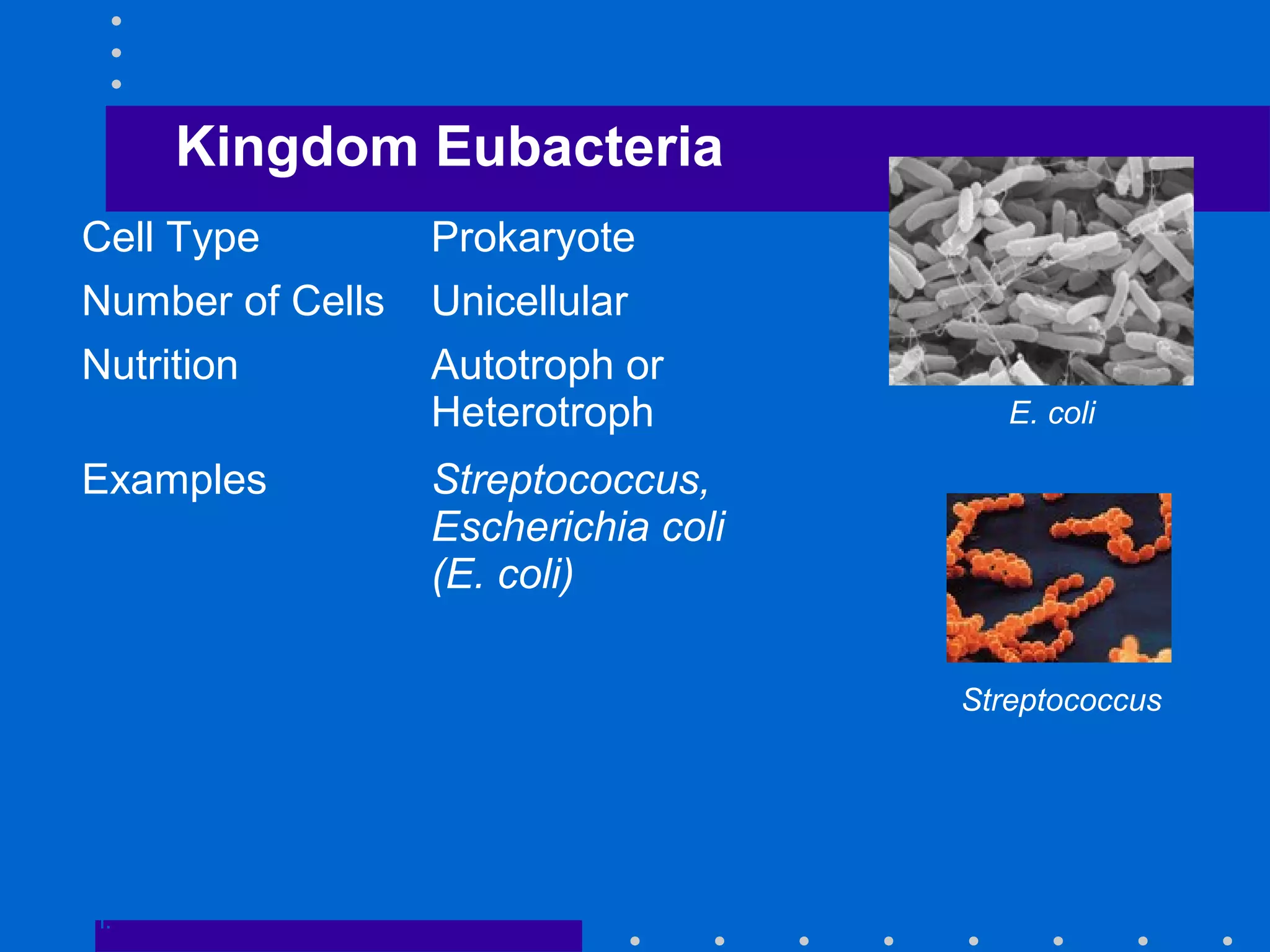 Kingdom Eubacteria
Go to
Section:
E. coli
Streptococcus
Cell Type Prokaryote
Number of Cells Unicellular
Nutrition Autotroph or
Heterotroph
Examples Streptococcus,
Escherichia coli
(E. coli)
 