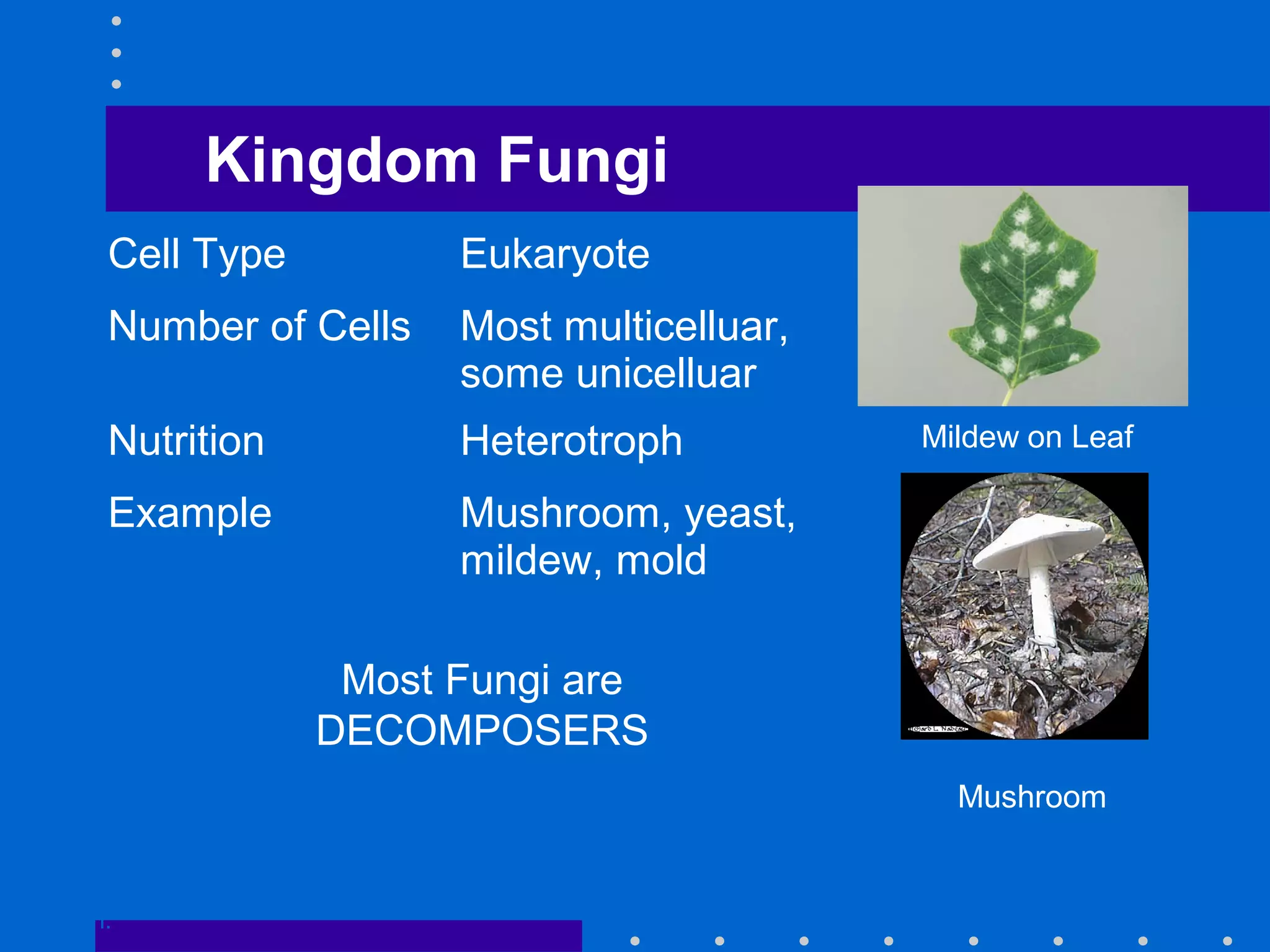 Kingdom Fungi
Go to
Section:
Mildew on Leaf
Mushroom
Cell Type Eukaryote
Number of Cells Most multicelluar,
some unicelluar
Nutrition Heterotroph
Example Mushroom, yeast,
mildew, mold
Most Fungi are
DECOMPOSERS
 