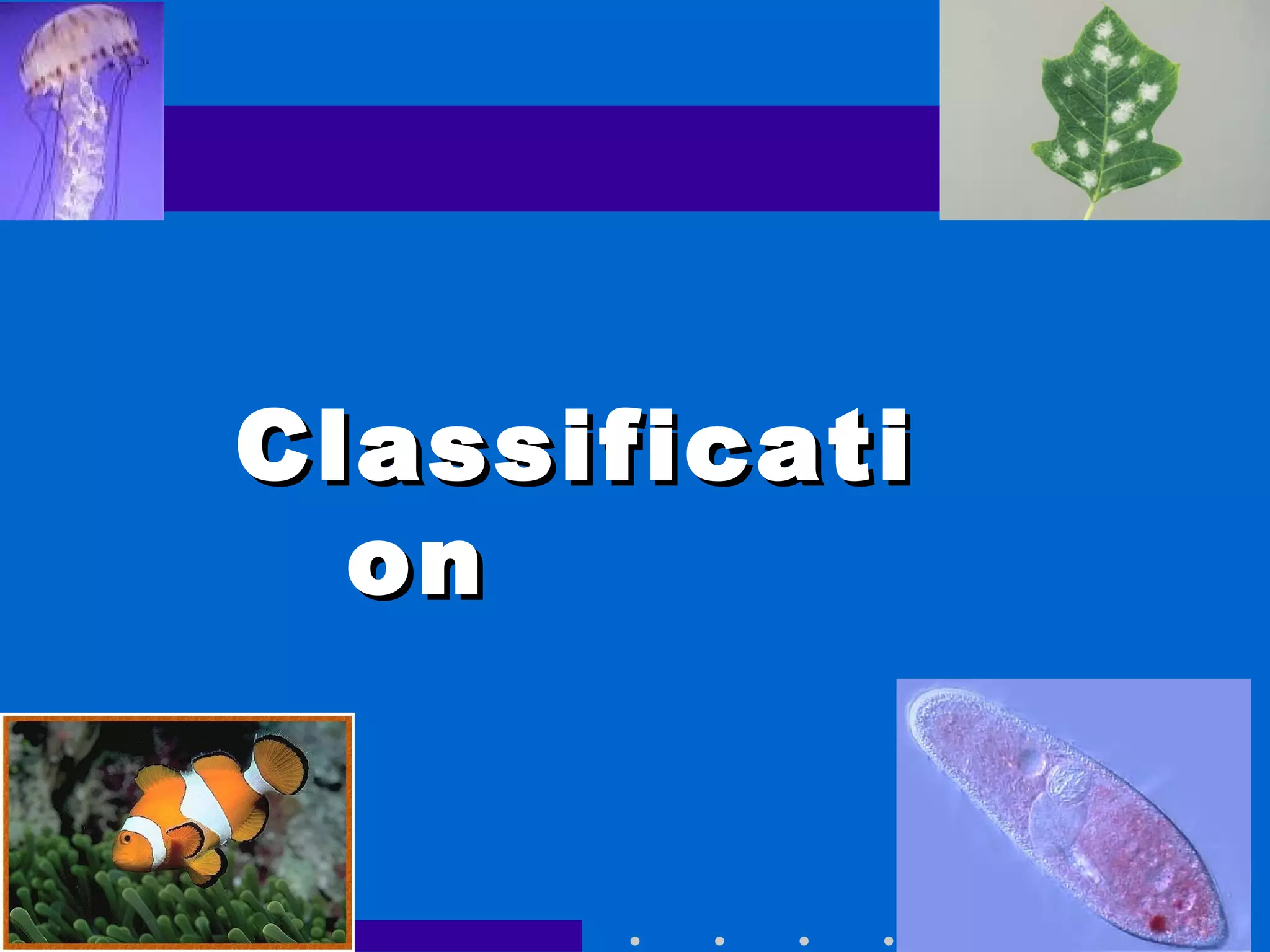 ClassificatiClassificati
onon
Go to
Section:
 