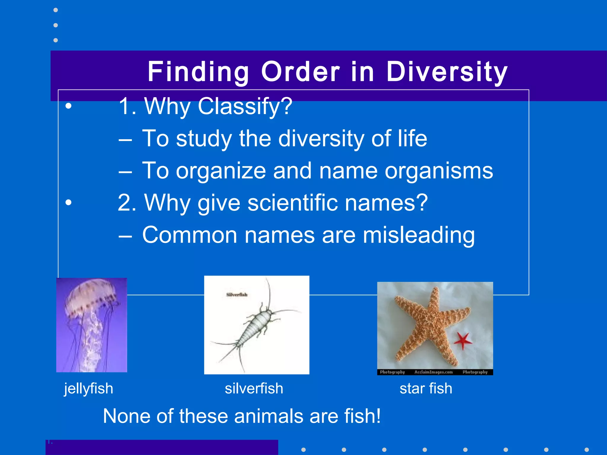 • 1. Why Classify?
– To study the diversity of life
– To organize and name organisms
• 2. Why give scientific names?
– Common names are misleading
Finding Order in Diversity
Go to
Section:
jellyfish silverfish star fish
None of these animals are fish!
 