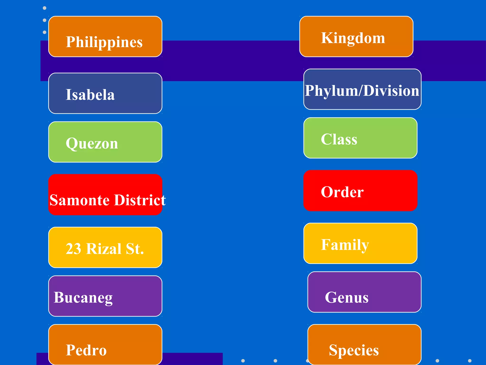 Philippines
Isabela
Quezon
Samonte District
23 Rizal St.
Bucaneg
Phylum/Division
Class
Family
Genus
Kingdom
Order
Pedro Species
 
