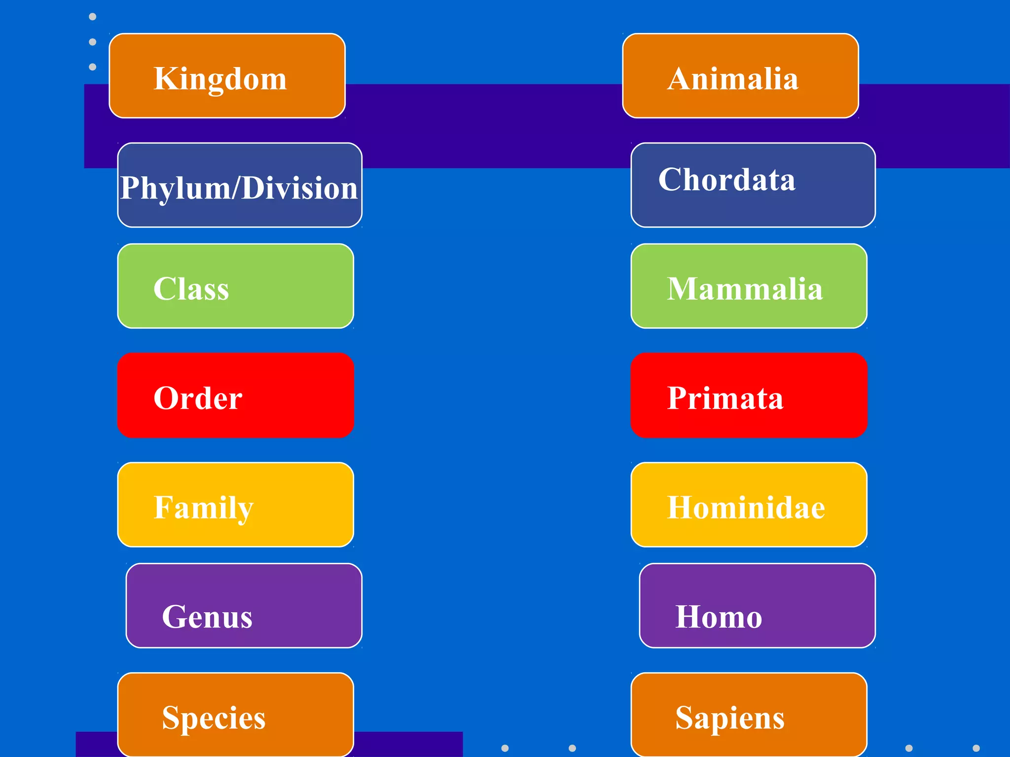 Chordata
Mammalia
Hominidae
Homo
Animalia
Primata
Phylum/Division
Class
Family
Genus
Kingdom
Order
Species Sapiens
 