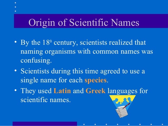 when assigning a scientific name to an organism