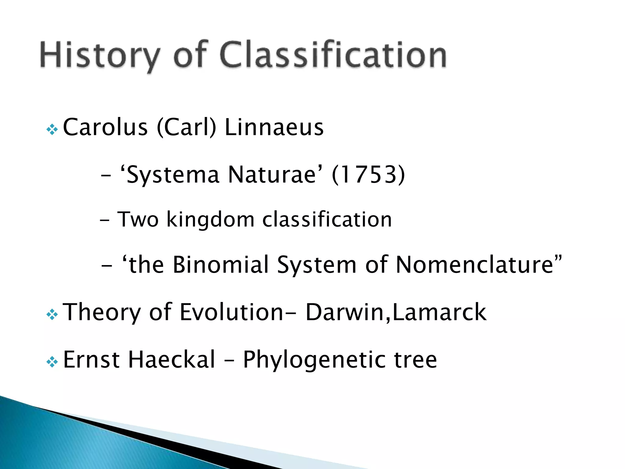CLASSIFICATION N MEANINGS ETYMOLOGY AND MORE visual data 7