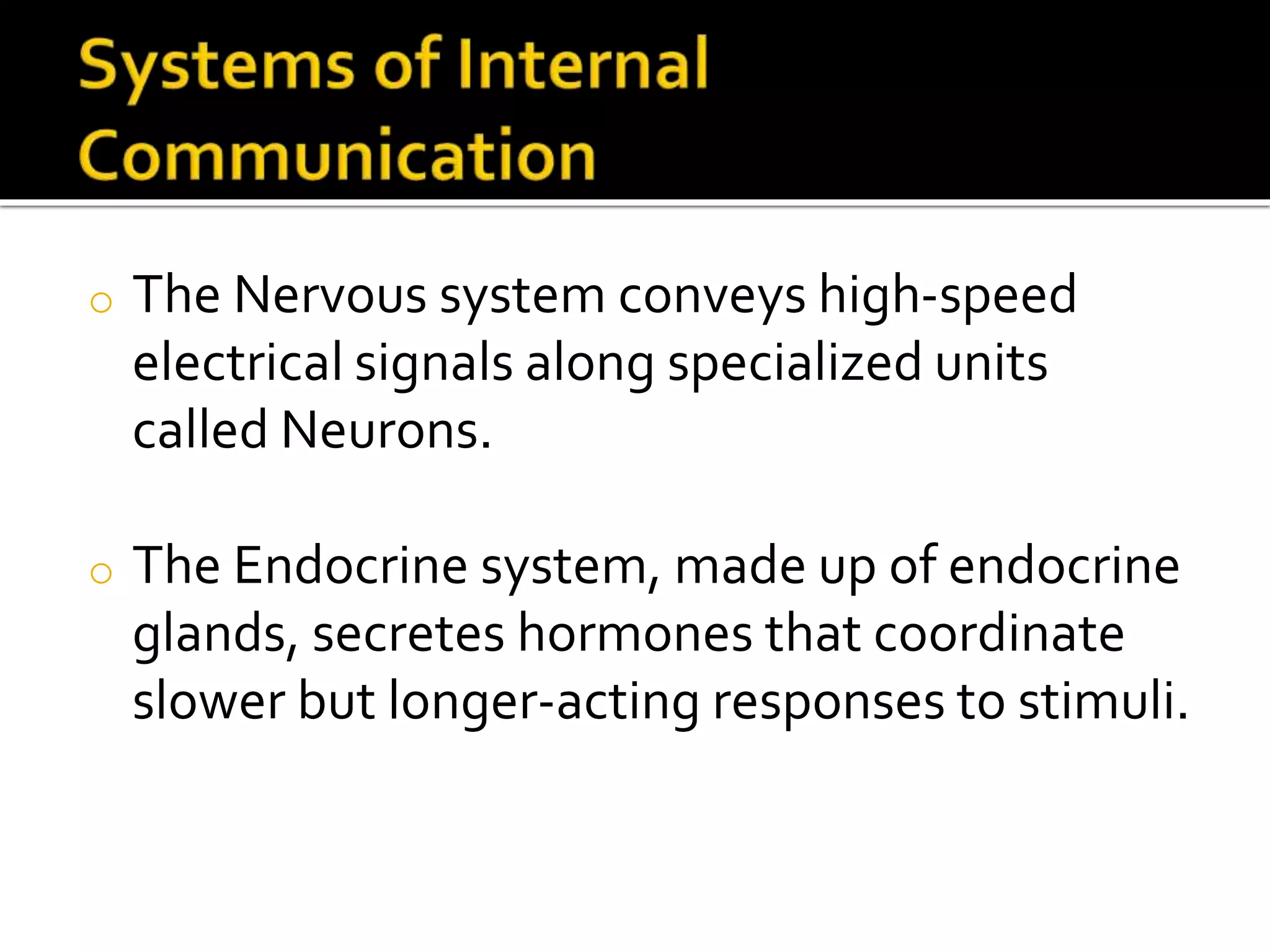 o The Nervous system conveys high-speed
electrical signals along specialized units
called Neurons.
o The Endocrine system, made up of endocrine
glands, secretes hormones that coordinate
slower but longer-acting responses to stimuli.
 