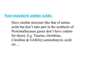 Non-standard amino acids:
Have similar structure like that of amino
acids but don’t take part in the synthesis of
Proteins(because genes don’t have codons
for them). E.g. Taurine, Ornithine,
Citrulline & GABA(γ-aminobutyric acid)
etc…
 