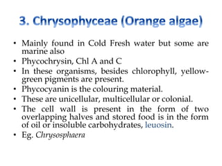 • Mainly found in Cold Fresh water but some are
marine also
• Phycochrysin, Chl A and C
• In these organisms, besides chlorophyll, yellow-
green pigments are present.
• Phycocyanin is the colouring material.
• These are unicellular, multicellular or colonial.
• The cell wall is present in the form of two
overlapping halves and stored food is in the form
of oil or insoluble carbohydrates, leuosin.
• Eg. Chrysosphaera
 