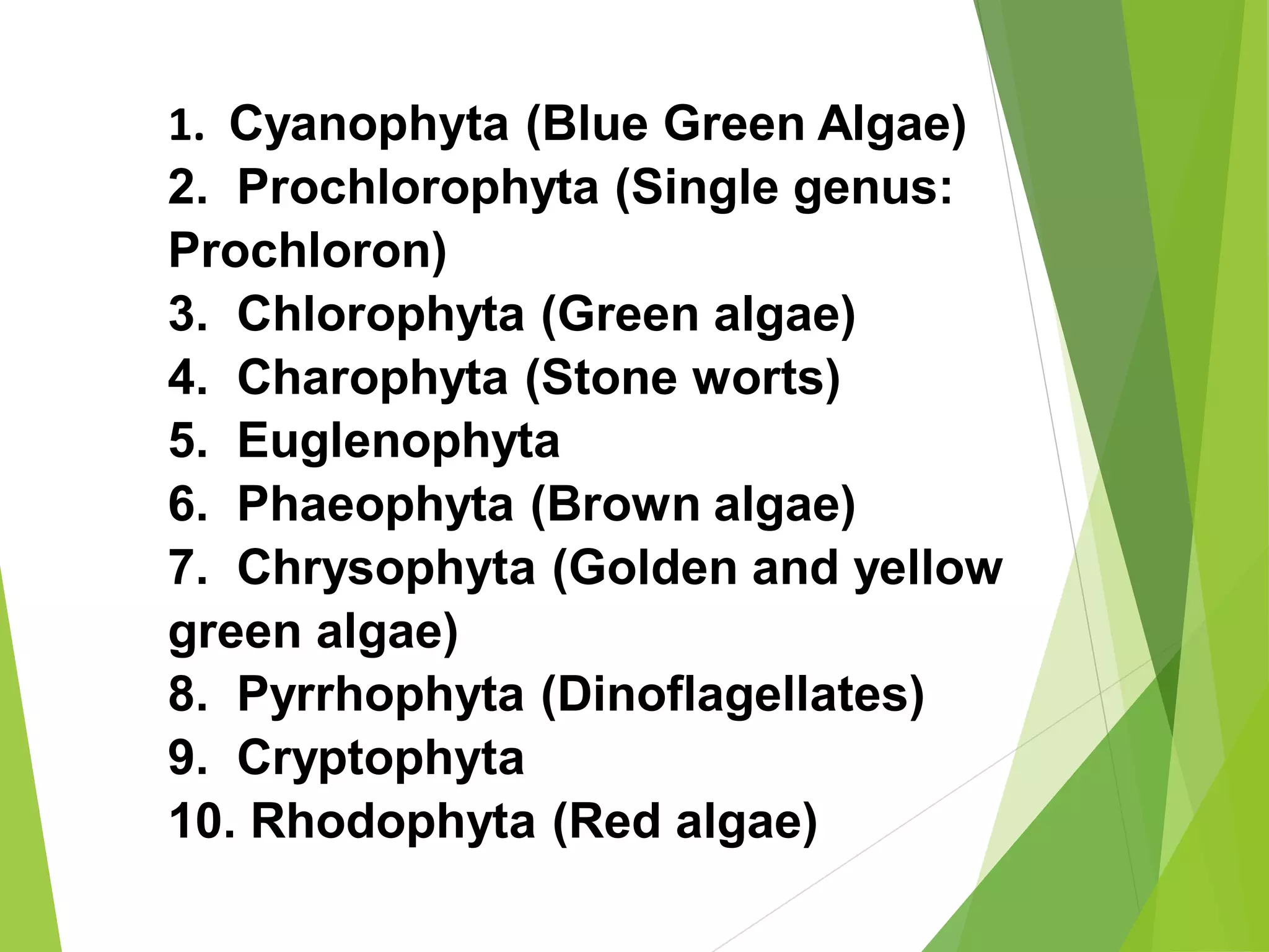 Unbelievable! The Truth About Algae'S Classification - kiryg3m