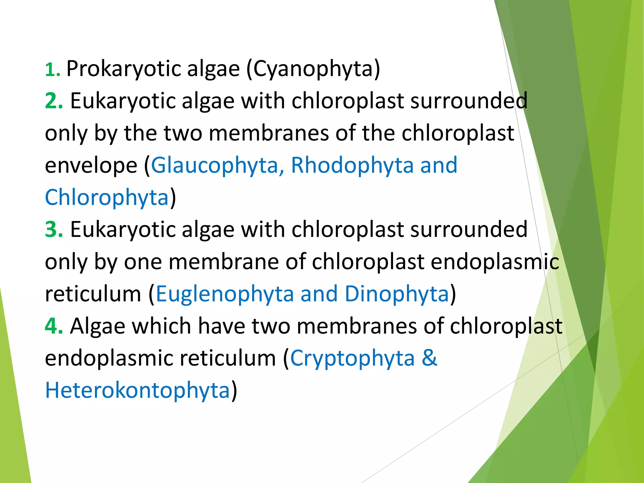 Unbelievable! The Truth About Algae'S Classification - n224ljy