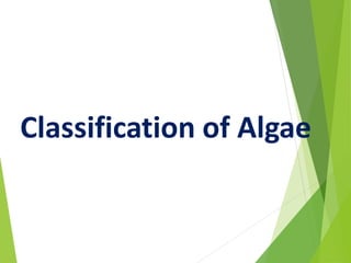 Classification of Algae
 