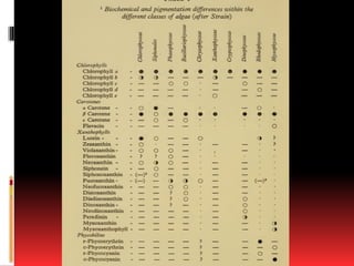 Comprehensive Classification and Phylogeny of Algae: Historical and ...