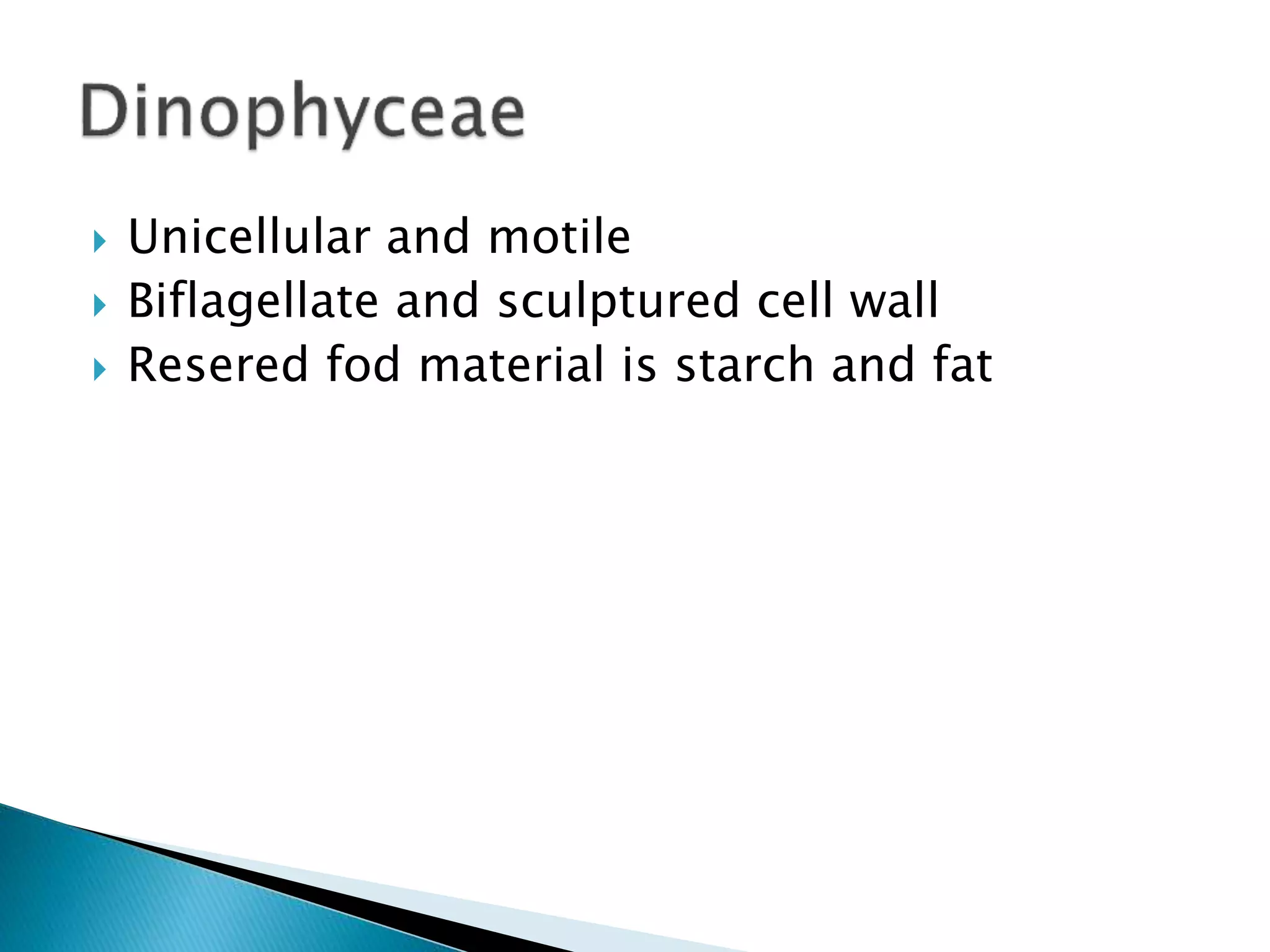  Unicellular and motile
 Biflagellate and sculptured cell wall
 Resered fod material is starch and fat
 