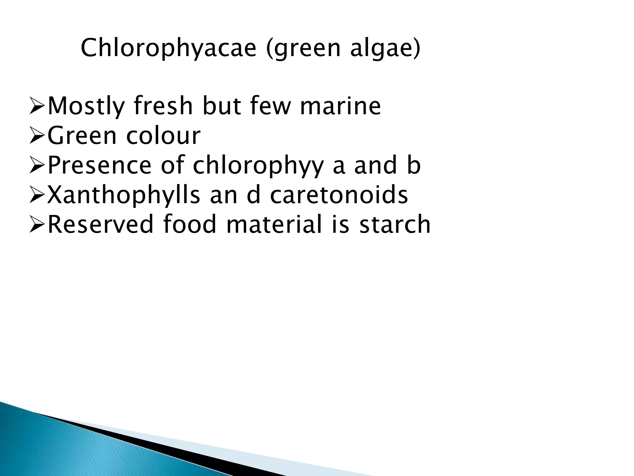 Chlorophyacae (green algae)
Mostly fresh but few marine
Green colour
Presence of chlorophyy a and b
Xanthophylls an d caretonoids
Reserved food material is starch
 