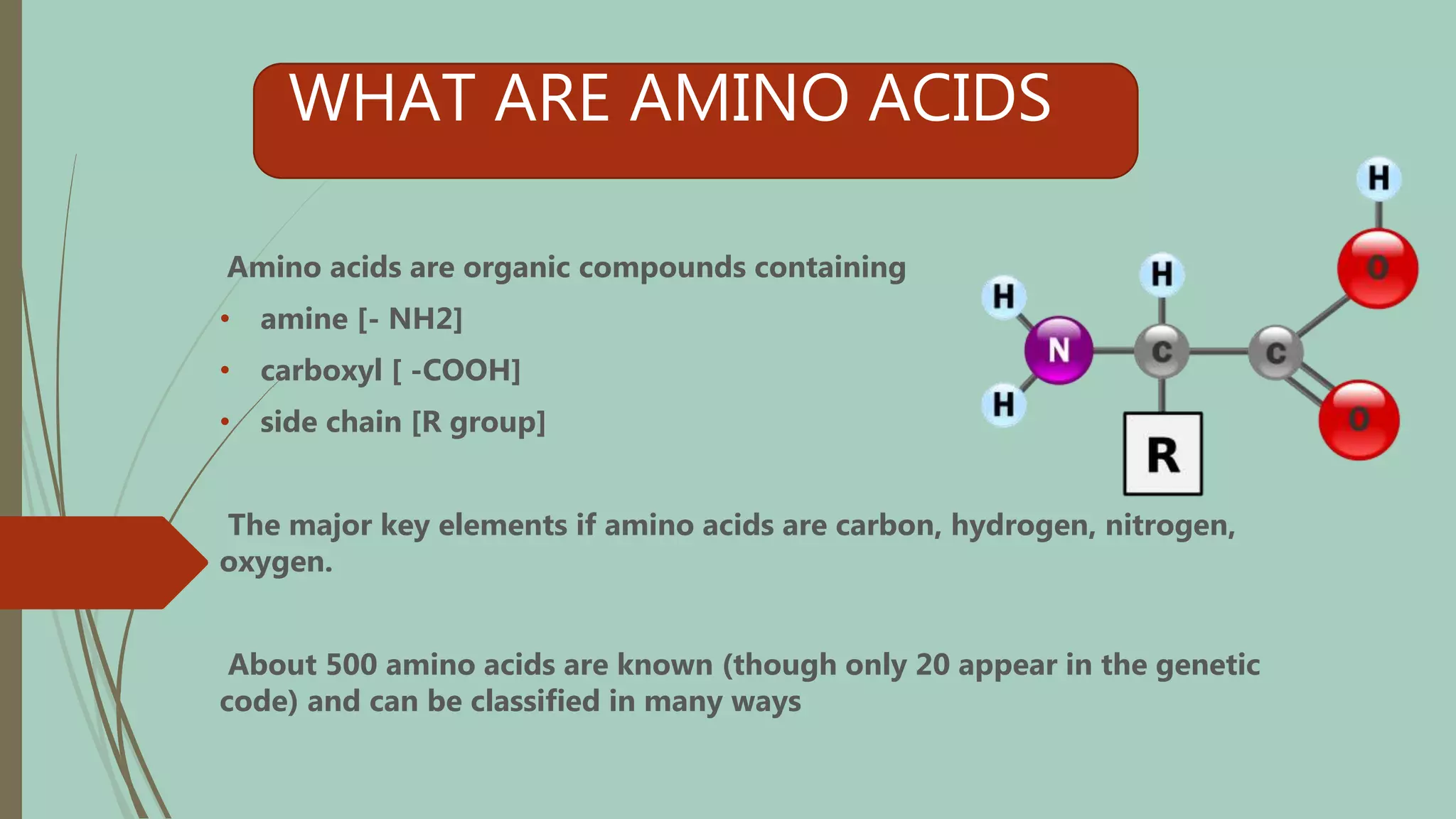 Classification of Amino Acid | PPTX