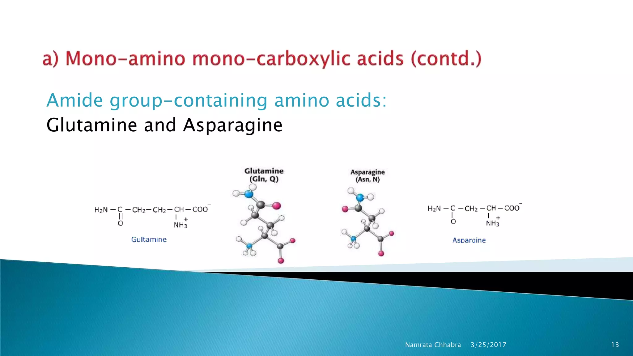 Amide group-containing amino acids:
Glutamine and Asparagine
3/25/2017 13Namrata Chhabra
 