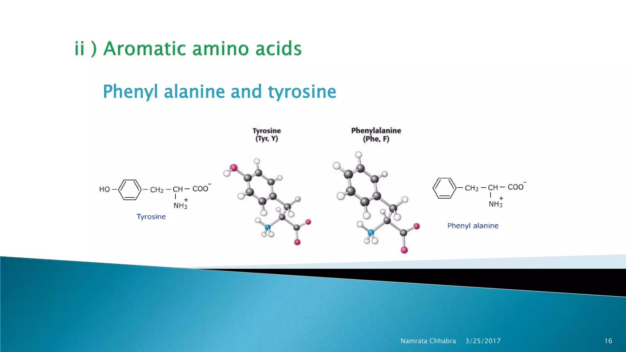 Phenyl alanine and tyrosine
3/25/2017 16Namrata Chhabra
 