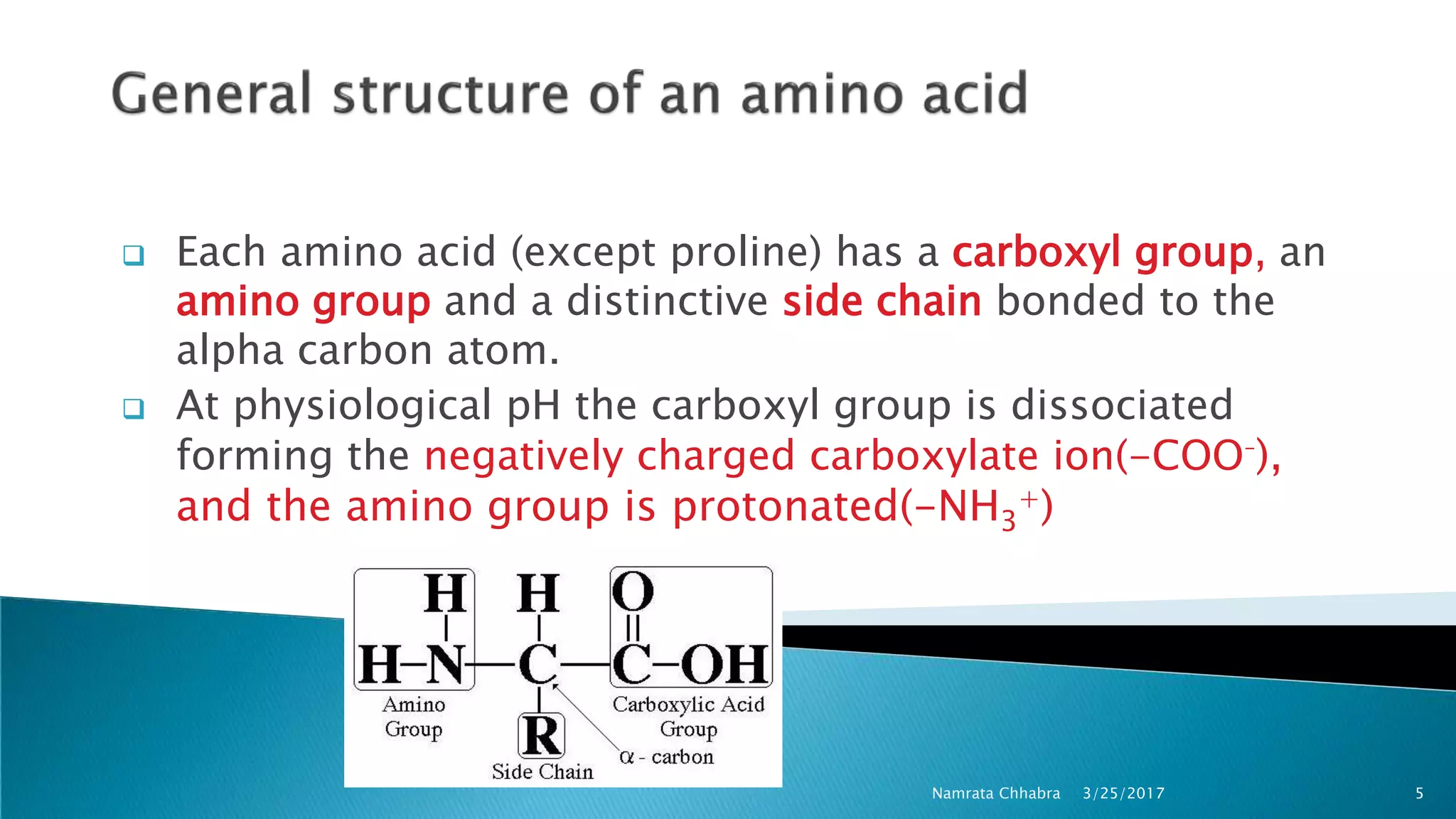  Each amino acid (except proline) has a carboxyl group, an
amino group and a distinctive side chain bonded to the
alpha carbon atom.
 At physiological pH the carboxyl group is dissociated
forming the negatively charged carboxylate ion(-COO-
),
and the amino group is protonated(-NH3
+)
3/25/2017 5Namrata Chhabra
 
