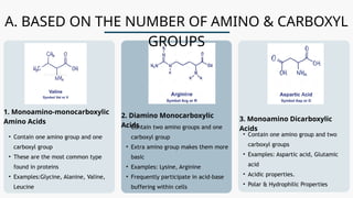 Classification of Amino Acid...pptx