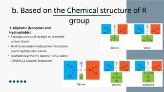 Classification of Amino Acid...pptx