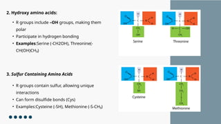 Cys R Group Classification of Amino Acid...pptx