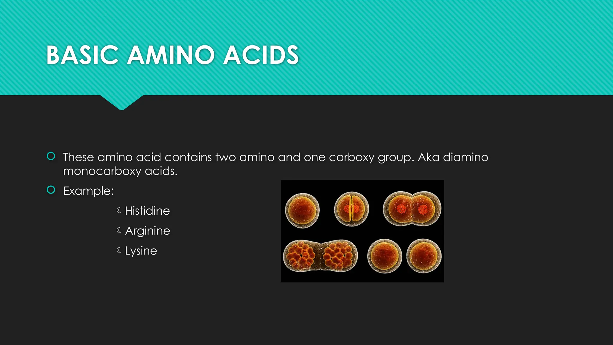 classification of amino acids(DEV) ssr medical college bakchodi.pptx