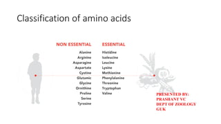 Classification of amino acids
PRESENTED BY:
PRASHANT VC
DEPT OF ZOOLOGY
GUK
 