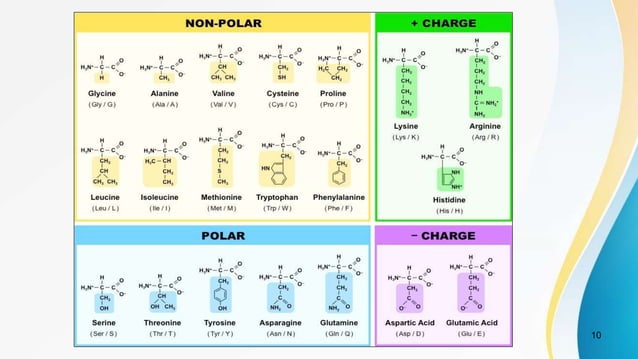 Classification of amino acids | PPTX | Chemistry | Science