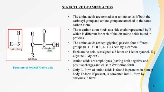 Classification of amino acids | PPTX | Chemistry | Science