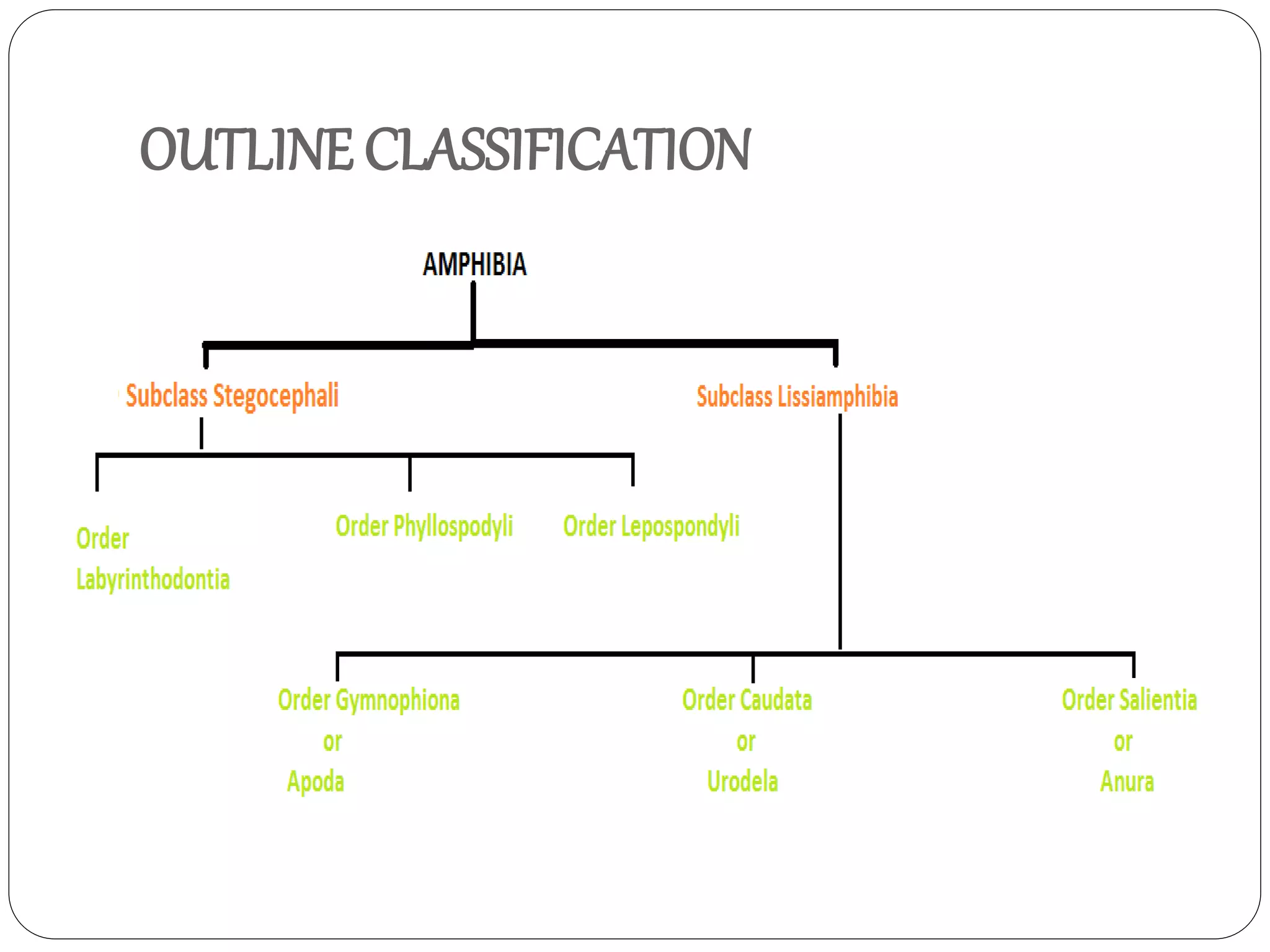 Classification of amphibia | PPTX