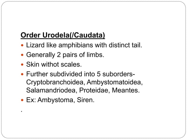 Classification of amphibia | PPTX | Reptiles | Pets