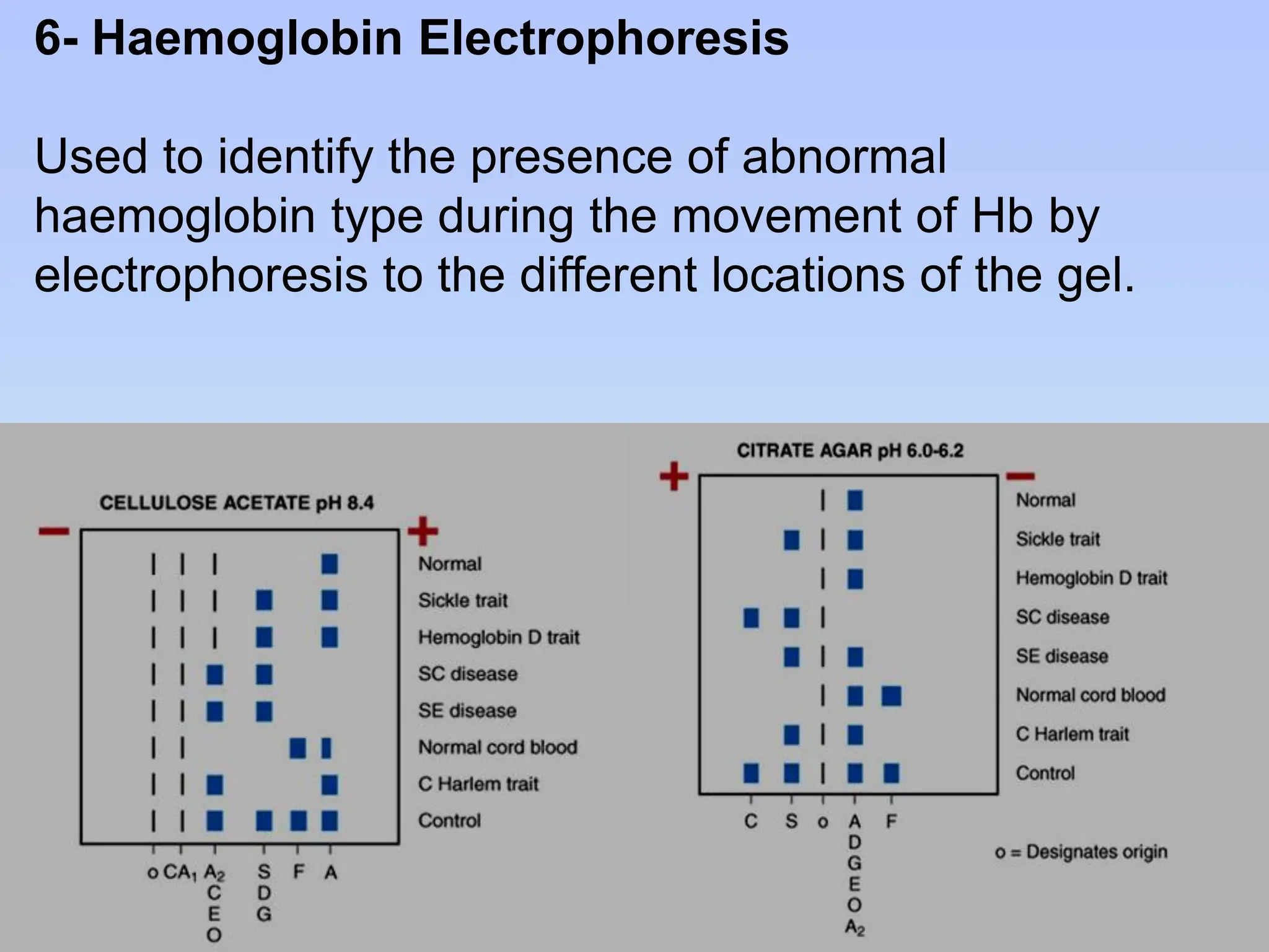 6- Haemoglobin Electrophoresis
Used to identify the presence of abnormal
haemoglobin type during the movement of Hb by
electrophoresis to the different locations of the gel.
 