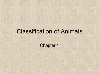 Classification of Animals Chapter 1 