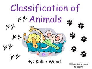 Classification of
    Animals



    By: Kellie Wood   Click on the animals
                            to begin!
 