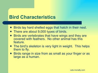 Bird Characteristics <ul><li>Birds lay hard shelled eggs that hatch in their nest. </li></ul><ul><li>There are about 9,000...