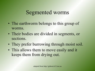Classification of animals | PPT