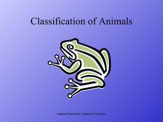 Classification of Animals 