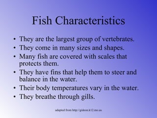 Fish Characteristics <ul><li>They are the largest group of vertebrates. </li></ul><ul><li>They come in many sizes and shap...