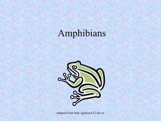 Amphibians 