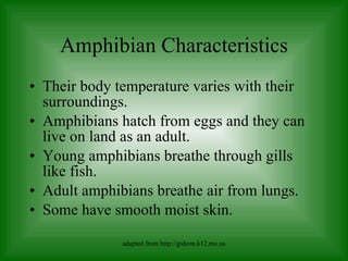 Amphibian Characteristics <ul><li>Their body temperature varies with their surroundings. </li></ul><ul><li>Amphibians hatc...